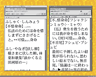 超漢字広辞苑(左)と超漢字岩波新漢語辞典(右)で同じ語を検索したところ